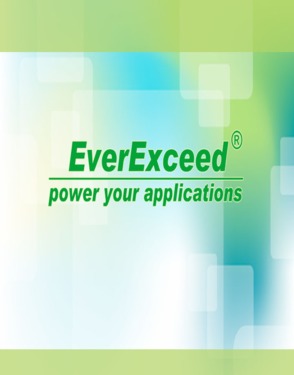 EverExceed Industrial Co. Ltd.