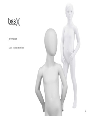 basXproject GmbH Erich Meier