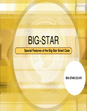 BIGSTAR KOREA CO., LTD.