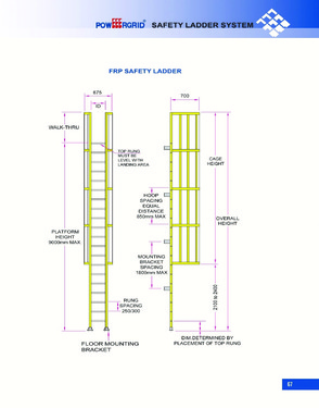 safety ladder system