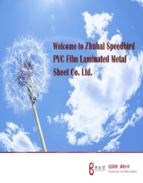 Zhuhai Speedbird PVC Laminated Metal Sheet Co., Ltd