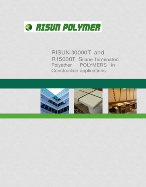 Risun Polymer Co., Ltd.