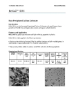 Nano Precipitated Calcium Carbonate (particle size 70-100 nm)