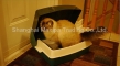 Featured Innovative Patented Self Cleaning Litter Box