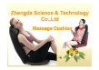 Massage Cushion for home and car