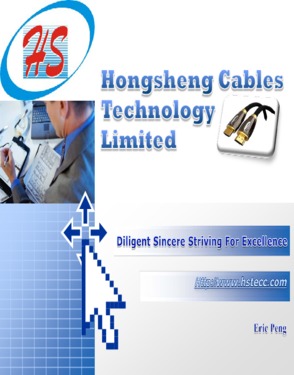 Zhongshan Hongsheng Cables technology limited