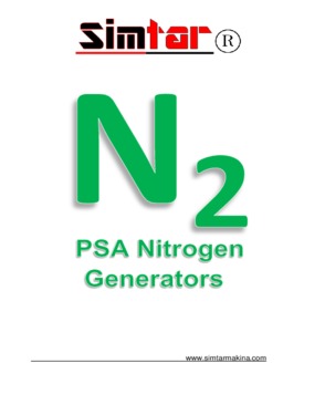 PSA Nitrogen Gas Generation System