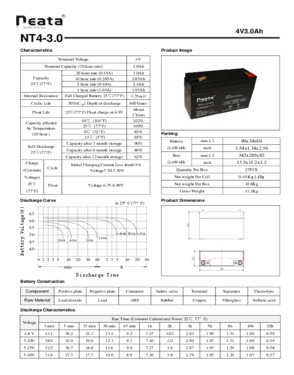 Dry cell Battery 4V 3.0Ah