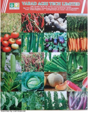 hybrid vegetable seeds