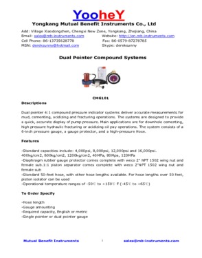 Dual Pointer Compound Systems