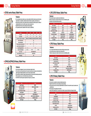 ZP17E Rotary Tablet Press