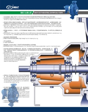 ISO Standard MCI Series End Suction Pump