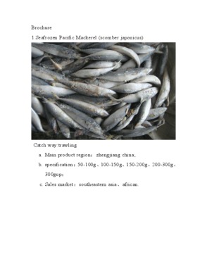 New 200-300g seafrozen pacific mackerel from china