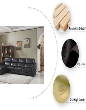 Modern Home Furniture Genuine Leather Sofa