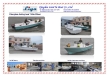 liya fiberglass fishing boat, SW760 and SW580