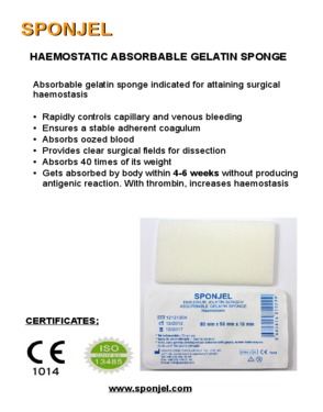 Absorbable Haemostatic Gelatin Sponge