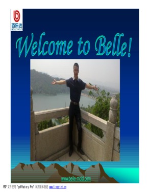 BELLE PRECISION MOLD Co., LTD.