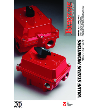 Bray Actuated Valves