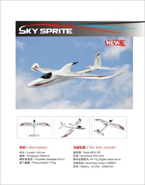 Remote control glider-SKY SPRITE