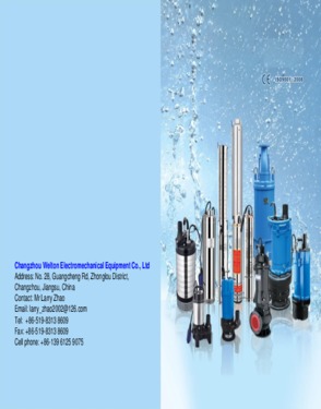 Submersible Pump