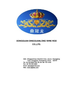 Dongguan Dingguanlong Technology Co., Ltd