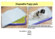 Pet Pads