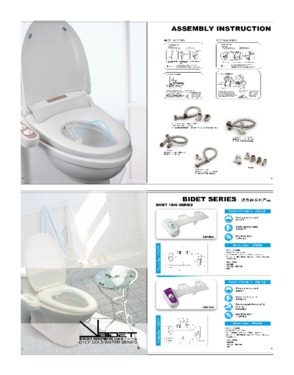 Cold water double nozzle toilet seat bidet