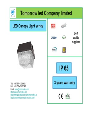 LED Canopy Light