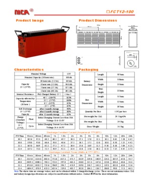 FCT series(Front Terminal AGM batteries)