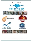 Son of the Sea