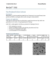 Nano Precipitated Calcium Carbonate (particle size 50 to 80 nm)