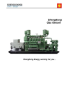 Shengli Oilfield Shengli Power Machinery Group Co, . Ltd