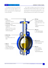 Lug Style Butterfly Valve