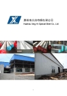 Huizhou Xingye Special Steel Co., Ltd