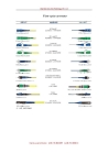 fiber optic connector