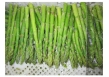 Frozen asparagus