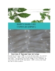 Vegetable Capsules (Size 0)