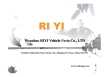 ruian riyi vehicle parts co., ltd