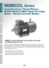 MSBCCL series three phase motor with DC brake