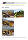 Telescopic Handler /Forklift Truck