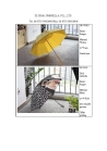 PVC Clear Applo Umbrella