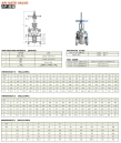 API cast steel gate valve