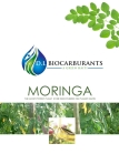 Moringa Seeds Oil Oleifera 100 % Pure Organic (cold press)