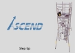 Ascend access system scaffolding