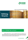 Refining Enzyme 