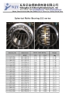 Spherical Roller Bearing series 222, 223