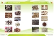 export dried shiitake mushrooms,dried brown and smooth mushrooms