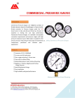 Pressure Gauge