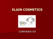 Elain Cosmetics