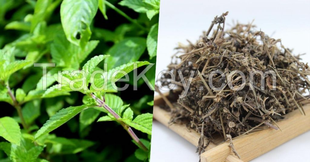 DRIED GRASS JELLY BLOCK / TRADITIONAL HERBAL COOLING / CLEAN LABEL / VEGAN